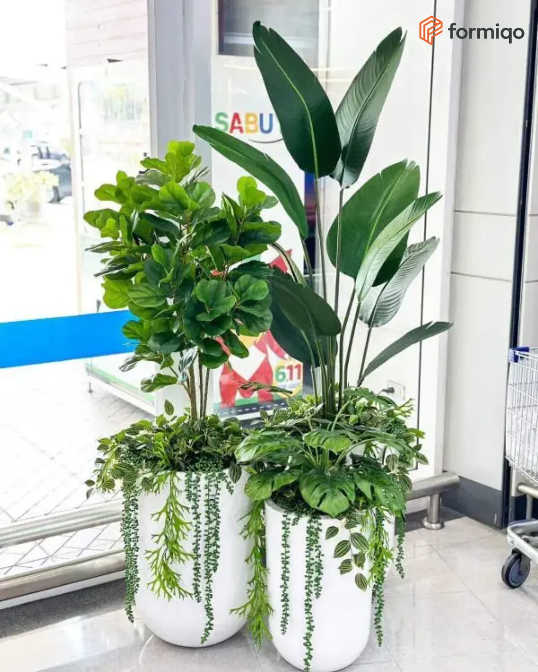 กระถางต้นไม้ รีวิวลูกค้า เซตต้นไม้ (14)