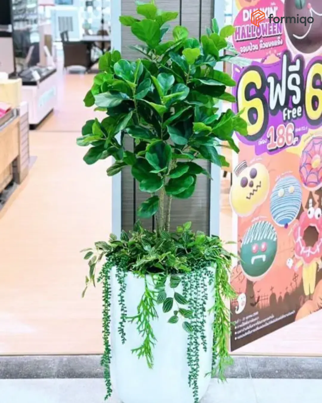 กระถางต้นไม้ รีวิวลูกค้า เซตต้นไม้ (18)